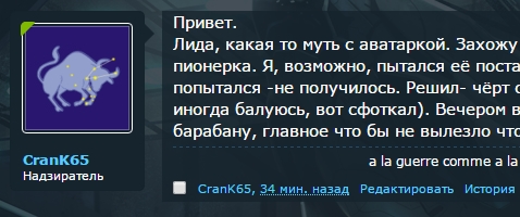 бык.jpg