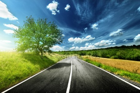 depositphotos_12699056-stock-photo-asphalt-road-in-tuscany-italy.jpg